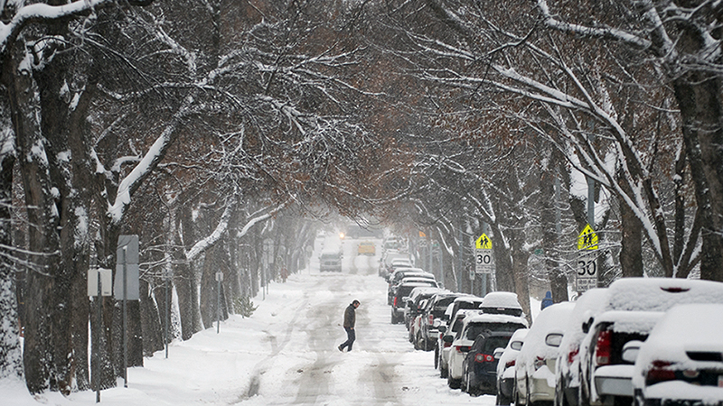 Edmonton Braces for First Major Snowfall of the Season, With Up to 15 cm Possible by Thursday (photo 2)